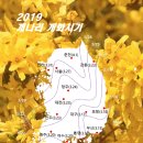 [도로]수원초등학교 앞 이미지