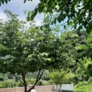 청아농장 이미지