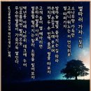 정동진해돋이캠핑장 둘러보기 이미지