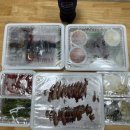 족발야시장송탄점