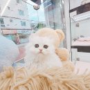 김해해피몽