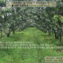 치수농장 이미지