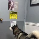 문 동물병원 이미지