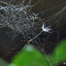 문득그리움 이미지