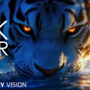 See the World Like Never Before of Ultra Clarity 12K HDR 120fps Dolby Visio 이미지