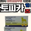 심약국 이미지