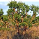 그레이트짐 이미지