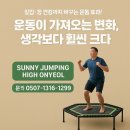 웰니스점핑하이