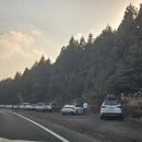 (주)사려니 이미지