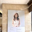 휴이엠헤어2 네이버블로그