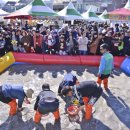 내가그린사과그림체험행사 이미지