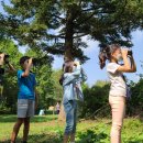 프로그램 이미지