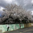 전포배수지 이미지