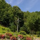 진안마원 이미지