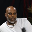 DMX 머니투데이