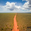 한국돈농장 이미지