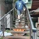 장기게임랜드 이미지