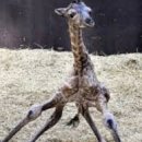 오일타운 이미지