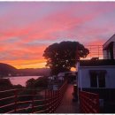 오렌지 민박 | 거제숙소 자연 속에서 누리는 최고의 휴식, 오렌지민박 후기