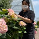 어울초등학교 | 수원지방분해주사 팔뚝 리얼 찐후기