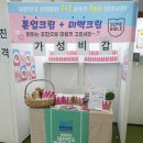 바이블썸 이미지