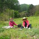 친구여인숙 이미지