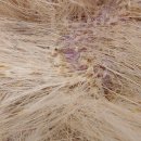 방주동물의료센터 이미지