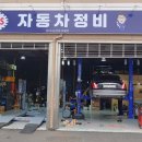박 CARS 이미지
