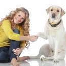 21세기 동물병원 이미지