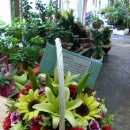 봉곡동080 이미지