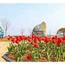 대부바다향기 테마파크 이미지