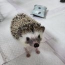 광명시청 이미지