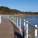 동해면사무소 이미지