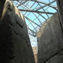 비지1리 이미지