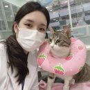 동천 동물병원 이미지