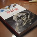 동북 태양광발전소 이미지