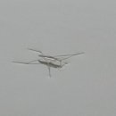 성리농장 이미지