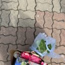 덕동초등학교 이미지