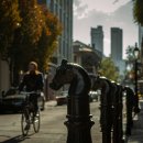 바비하우스 이미지