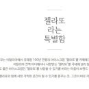 카페띠아모 - 성동구 왕십리로 222 | 카페띠아모