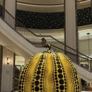 스타키즈수영장 중구점 | 8세 아이와 인천 파라다이스 호텔 2박3일 (씨메르 /원더박스/ 수영장 / 플레이랩 / 키즈룸)