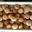 선우농장2 이미지