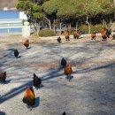 방원가든 이미지