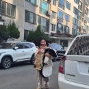 별자리펜션 | 경주 애견동반 수영장 숙소 별자리캠핑랜드 글램핑 + 해장 맛집