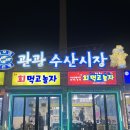 회먹고놀자