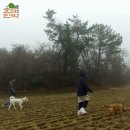 산책민박 이미지