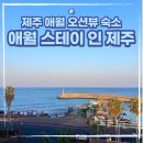 양지 오션스테이Ⅳ | 제주도 애월 오션뷰 숙소 애월 스테이 인 제주｜내돈내산으로 가성비와 오션뷰 모두 만족한 숙소