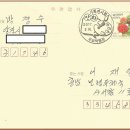 초일기획