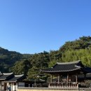 묵실 | 산청 여행, 남사예담촌 주차 볼거리 그리고 카페 묵실 솔직 후기