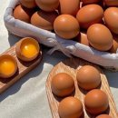 농업회사법인자연과사람주식회사
